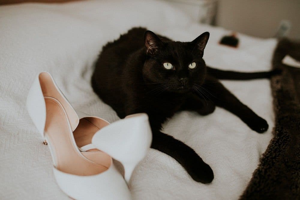 The Wedding Ring - theweddingring.ca