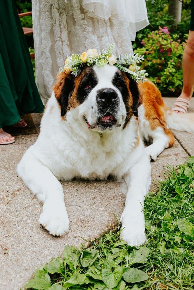 The Wedding Ring - theweddingring.ca